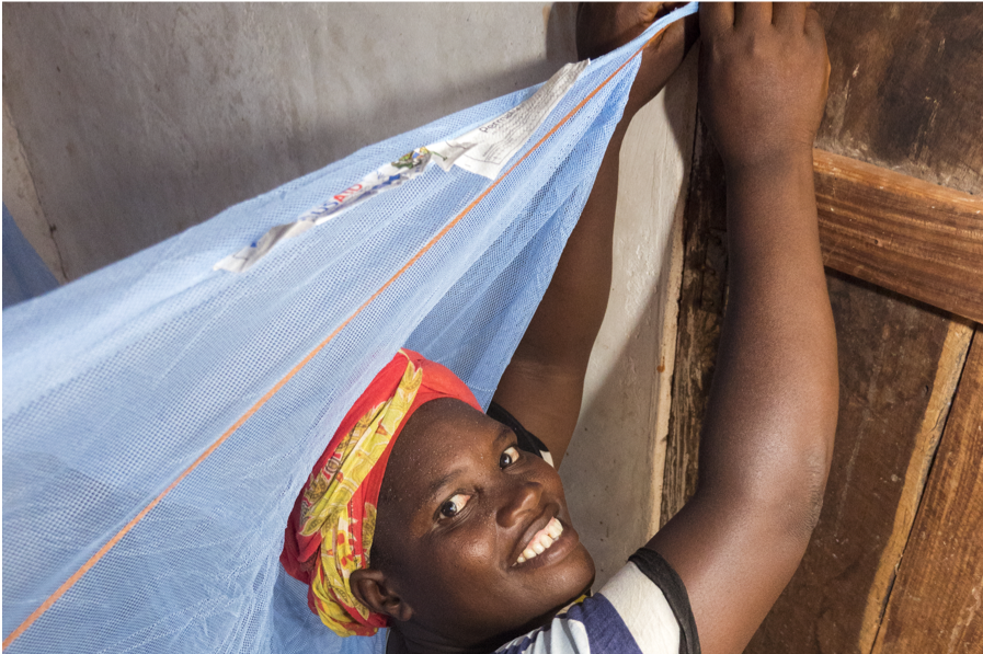 Woman hanging long-lasting insecticidal net